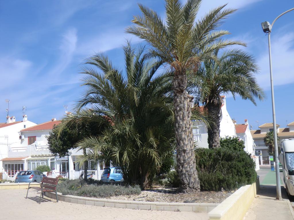 تورّيفيِخا Casas Holiday - Playa La Mata 1 المظهر الخارجي الصورة
